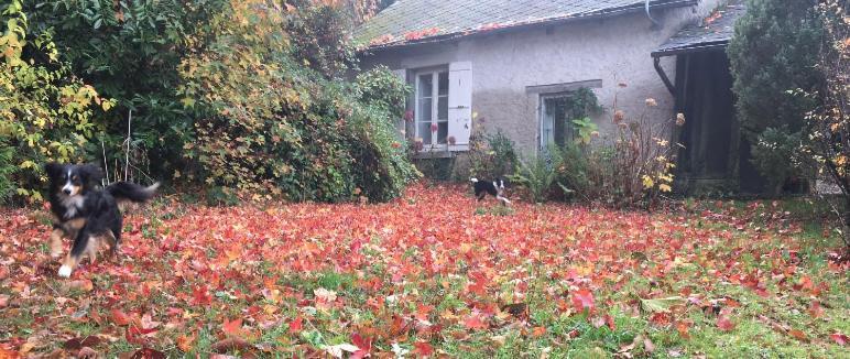 Maison Lyre, Pompadour Hotel Arnac-Pompadour Bagian luar foto